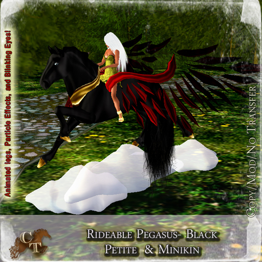 @CTM@ Petite Riding Pegasus (P/I.4M) 