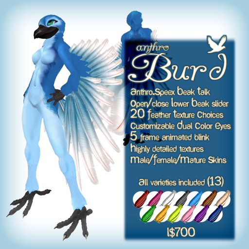 AX AVs Retired Fat Pack - Burd