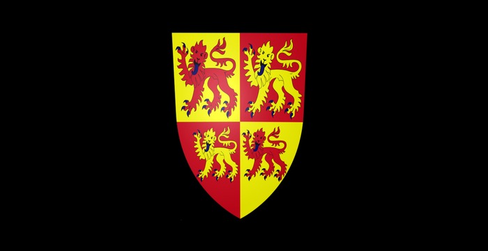 Medieval shield wall ornament 5