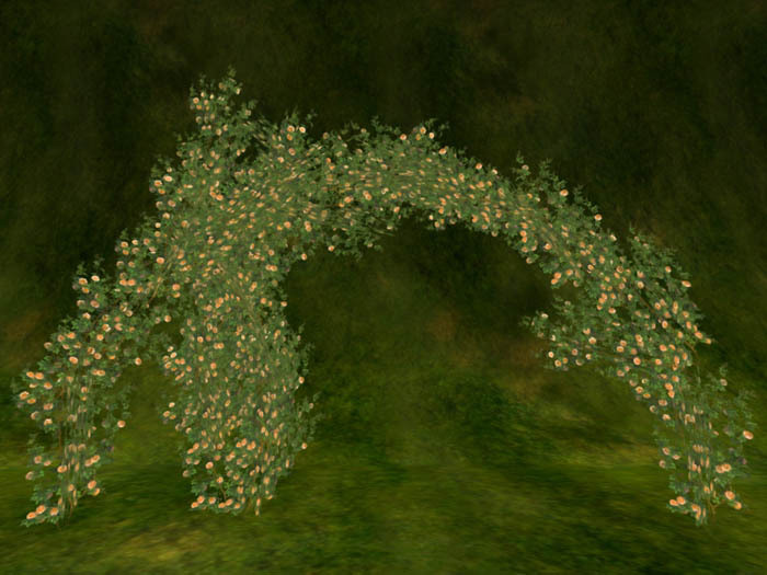 Old Rose for pole & arch _orange
