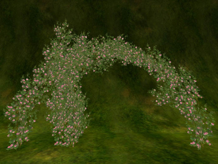 Old Rose for pole & arch _pink
