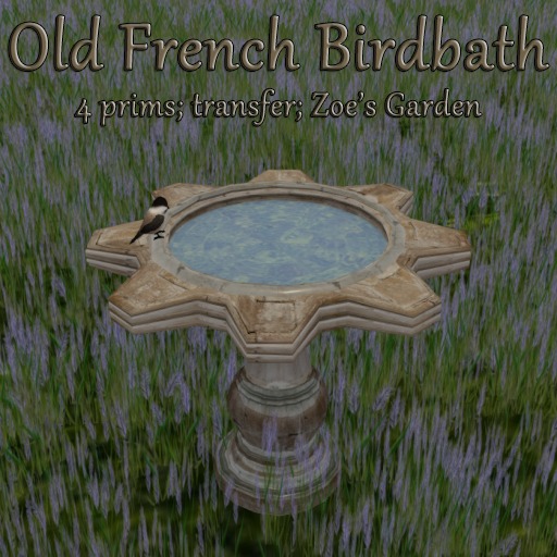 *ZG* Steam Birdbath
