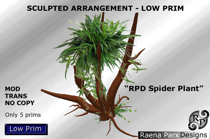 SCULPT ARRANGEMENT - RPD SPIDER PLANT