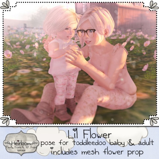 {Heirloom. Lil Flower} boxed.