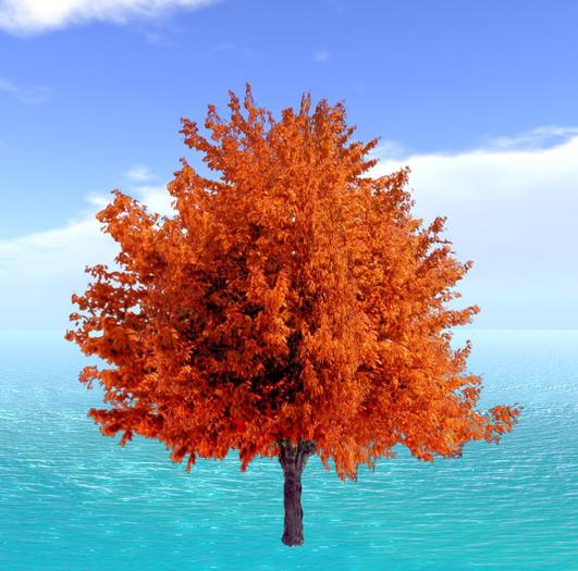 tree 3.V