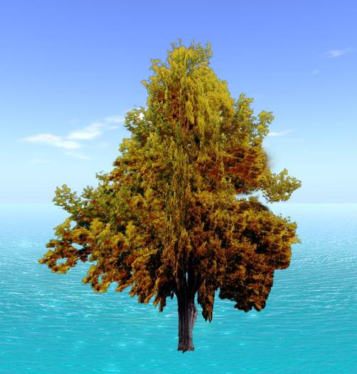 tree 5.V