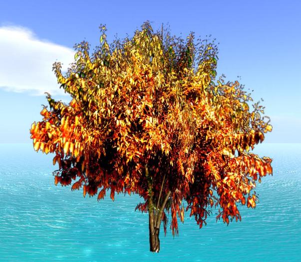 tree 8.V