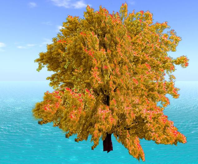 tree 10.V