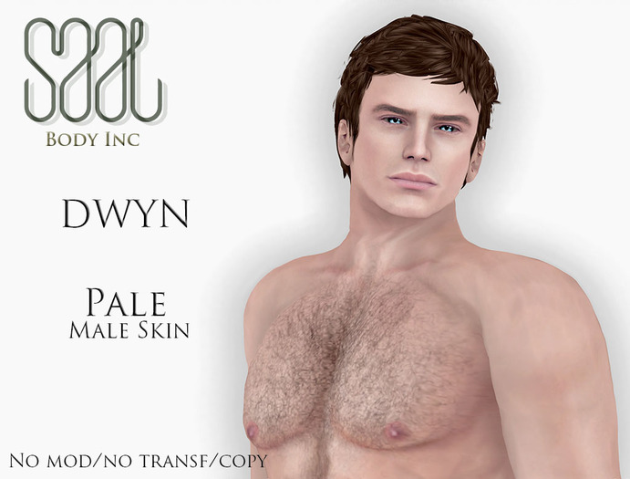 ::SAAL:: DEMO SKIN DWYN