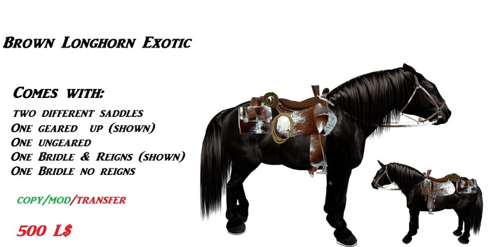 Brown Longhorn Exotic