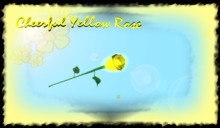 2 Scripted Cheerful Yellow Roses Promo