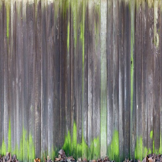 wood texture 18