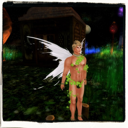 Tintable Fairy Wings2