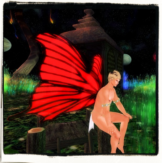 Red & Black Wings