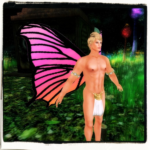 Pink & Orange Wings