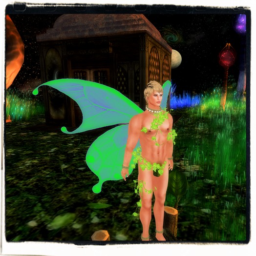Green Butterfly Wings