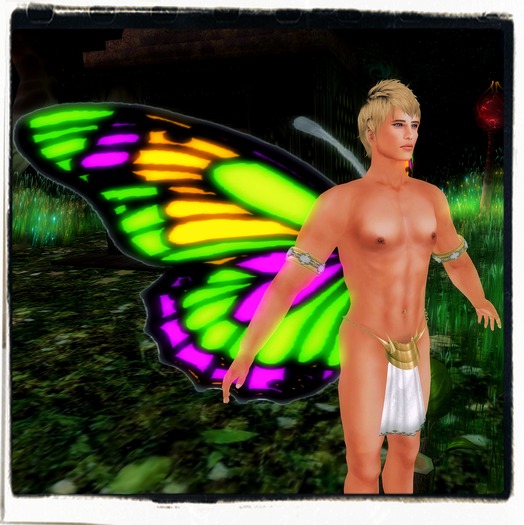 PurpleGreenOrange Butterfly Wings