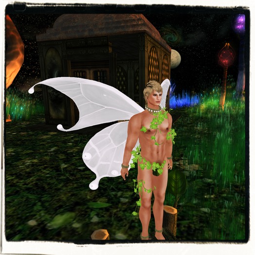 Tintable Butterfly Wings