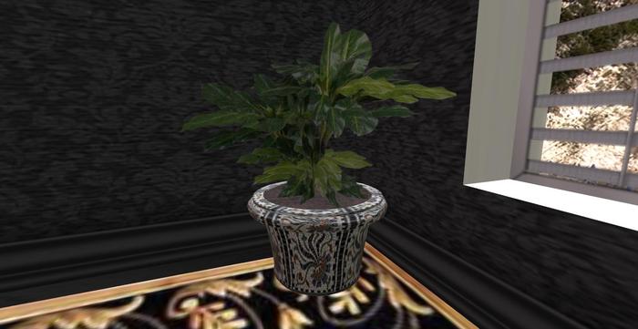 Houseplant 5