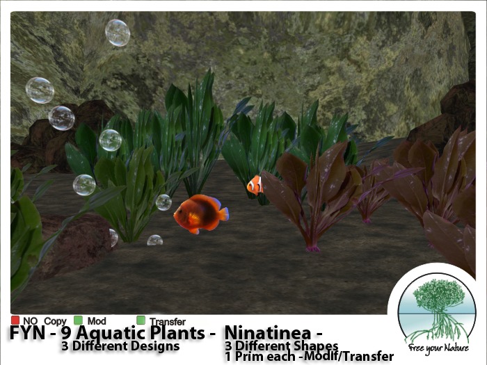 FYN - Aquatic - Ninatinea -