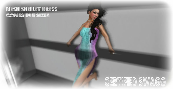 C.S. Mesh Shelley Dress