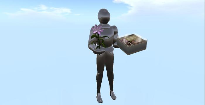 LadiesKnight Shoulder Soldier (InV)