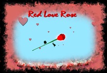 2 Scripted Red Love Roses Promo