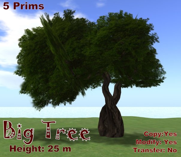 Big Tree