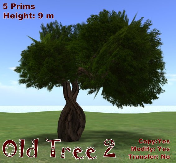 Old Tree