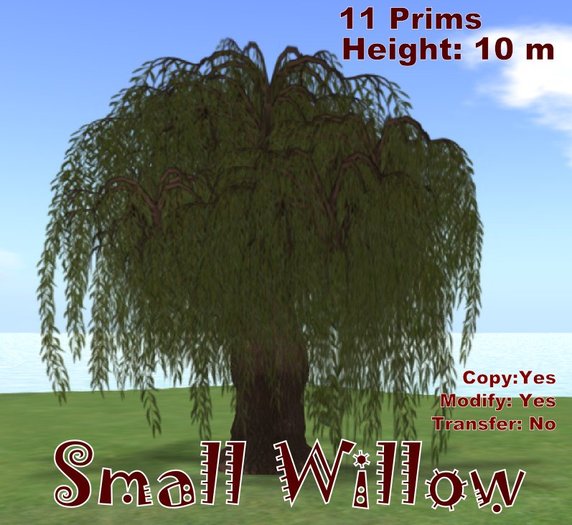 Willow small
