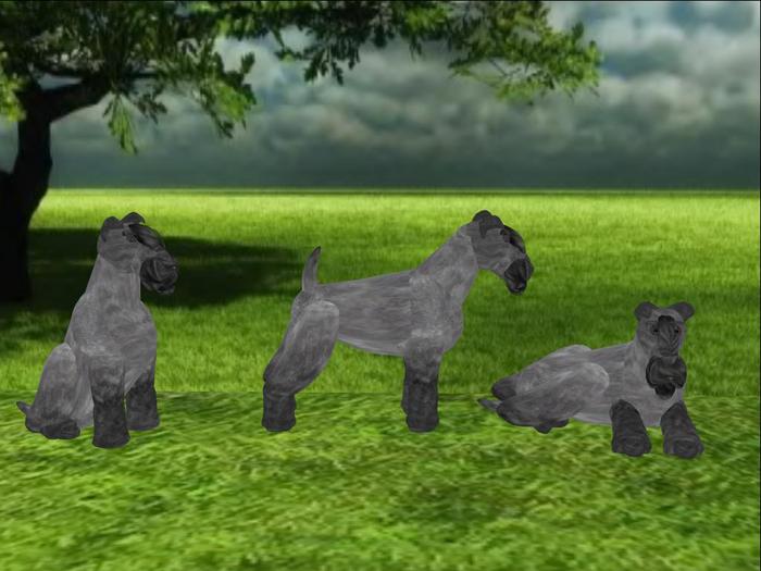 Kerry Blue Terrier Scripted and Animated Dog