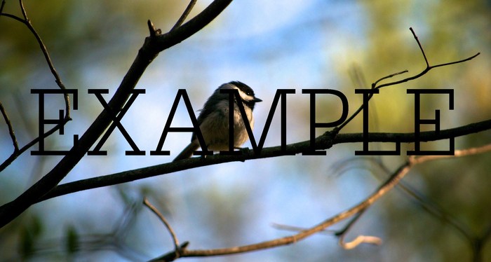 photos of nature