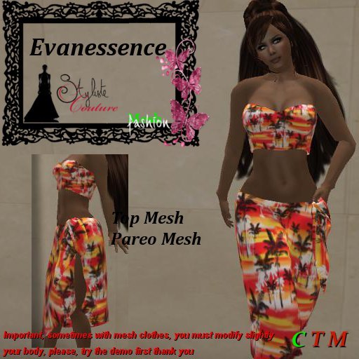 Evanessence Summerbeach Sunset