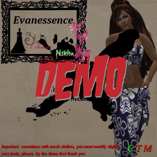 Demo Evanessence Summerbeach