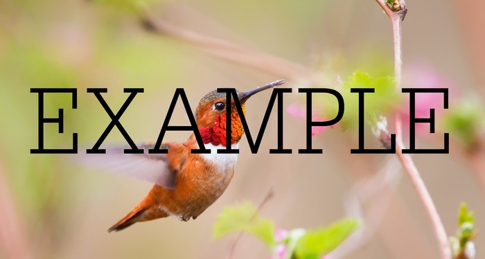 photos of nature