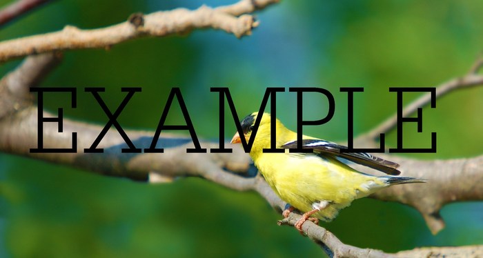 photos of nature