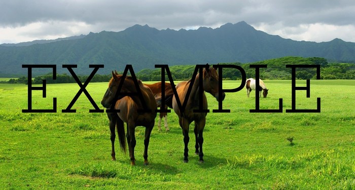 photos of nature