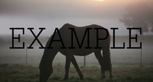 photos of nature