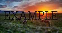 photos of nature