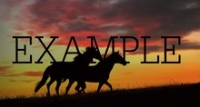 animal horse 48