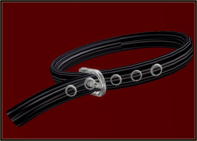 Birgit Mai Leather Belt 9