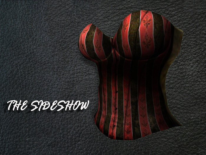 {REVERIE) Mesh Corset - The Sideshow