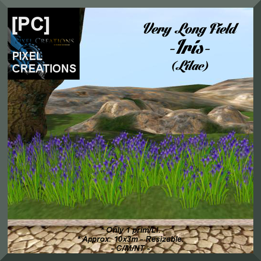[PC] VERY LONG FIELD OF IRIS - LILAC (Boxed)