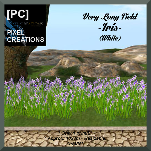 [PC] VERY LONG FIELD OF IRIS - WHITE (Boxed)