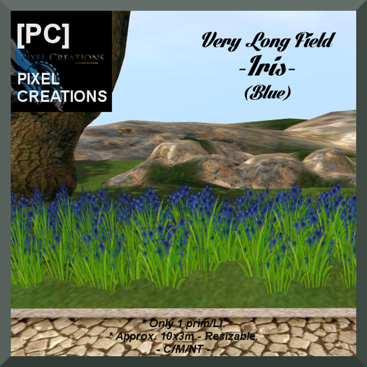 [PC] VERY LONG FIELD OF IRIS - BLUE (Boxed)