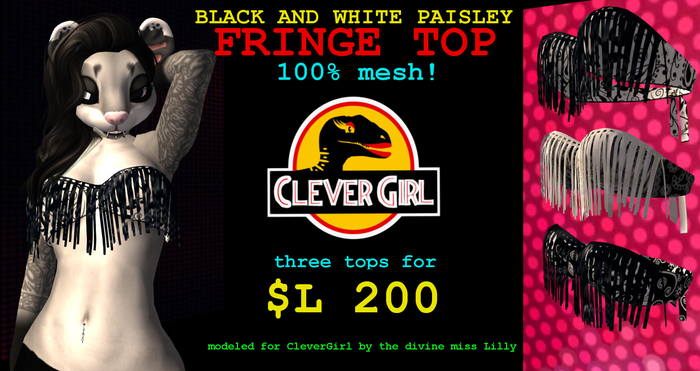 ::CLVRGRL:: B&W Paisley Fringe Tops Box