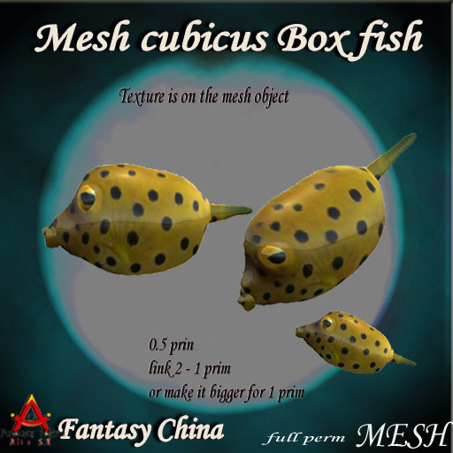 Mesh cubicus Box fish full perm 
