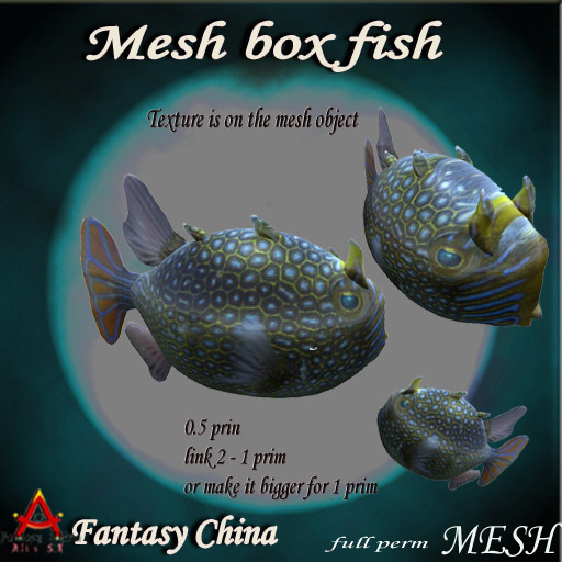 MESH box fish full perm 