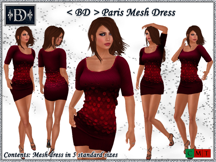 < BD > Paris Mesh Dress Red