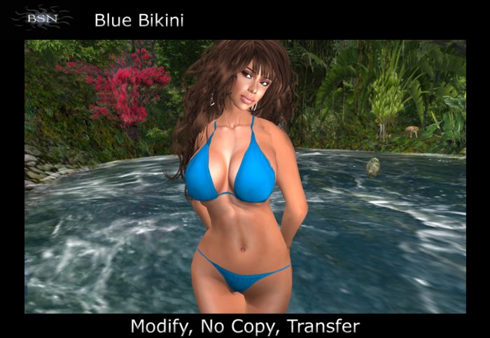 BSN Bikini - Blue